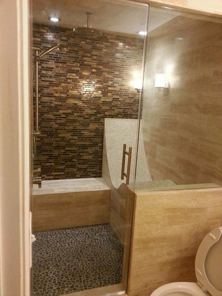 Frameless Shower Door – Steam 001